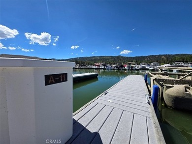 Welcome to the beautiful Pine Knot Marina in Big Bear Lake - photo 2