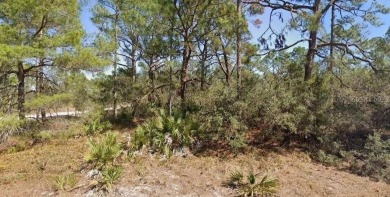 Lake Lot For Sale in Lake Placid, Florida
