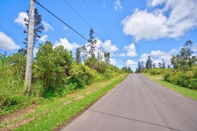 $56,000 Two acres of lightly wooded land on pavement! Located on - photo 1