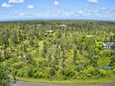 $56,000 Two acres of lightly wooded land on pavement! Located on - photo 2