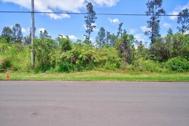 $56,000 Two acres of lightly wooded land on pavement! Located on - photo 3