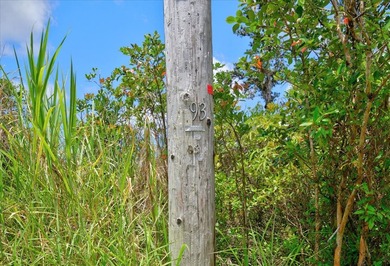 $56,000 Two acres of lightly wooded land on pavement! Located on - photo 4