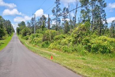 $56,000 Two acres of lightly wooded land on pavement! Located on - photo 5