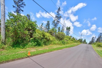 $56,000 Two acres of lightly wooded land on pavement! Located on - photo 6