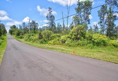 $56,000 Two acres of lightly wooded land on pavement! Located on - photo 7