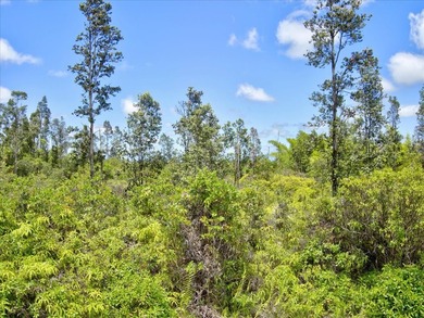$56,000 Two acres of lightly wooded land on pavement! Located on - photo 9