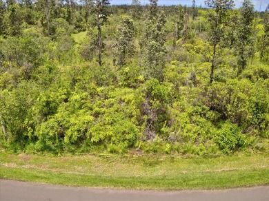 $56,000 Two acres of lightly wooded land on pavement! Located on - photo 10