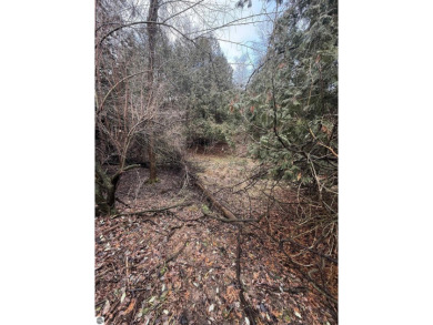 (private lake, pond, creek) Acreage For Sale in Mount Pleasant Michigan