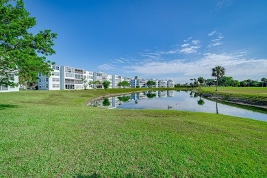Nestled in a vibrant 55+ community, this completely remodeled in - photo 45