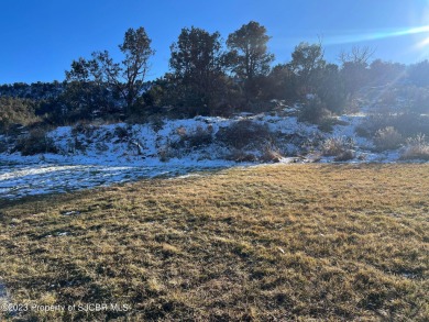 Lake Lot Sale Pending in Middle Mesa, New Mexico