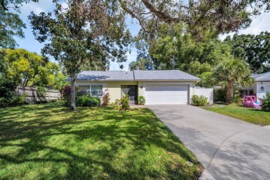 Lake Home For Sale in Palm Harbor, Florida