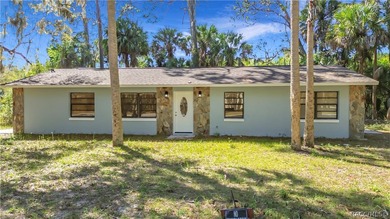 This property has a separate studio with full kitchen. Welcome - photo 11