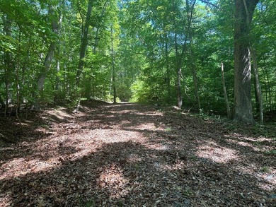 #73330-Senequa Surprise!! A charming set of three lots totaling - photo 12