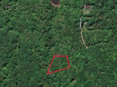#73330-Senequa Surprise!! A charming set of three lots totaling - photo 13