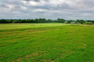 Rural Oklahoma Charm, Wide-open spaces and lake views come with - photo 16