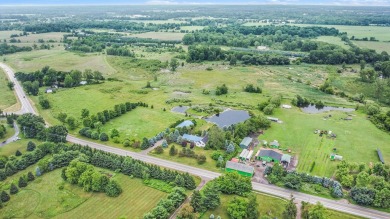 Lake Home For Sale in Manchester, Michigan