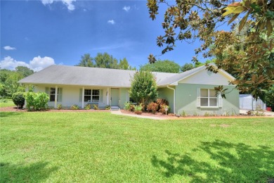 (private lake, pond, creek) Home For Sale in Haines City Florida