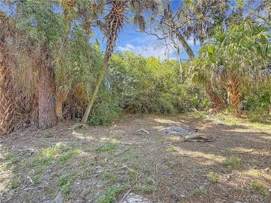 This property has a separate studio with full kitchen. Welcome - photo 49