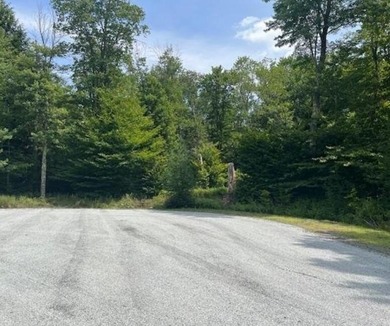 Lake Watawga Lot For Sale in Gouldsboro Pennsylvania