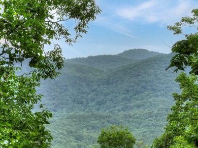 LONG RANGE YEAR-ROUND MOUNTAIN VIEWS, a TRUE LOG CABIN, and - photo 3