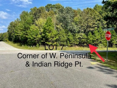 Lake Lot For Sale in Laurens, South Carolina