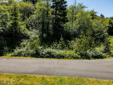 A rare chance to buy a coastal lot with the heavy lifting - photo 12