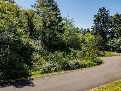 A rare chance to buy a coastal lot with the heavy lifting - photo 15
