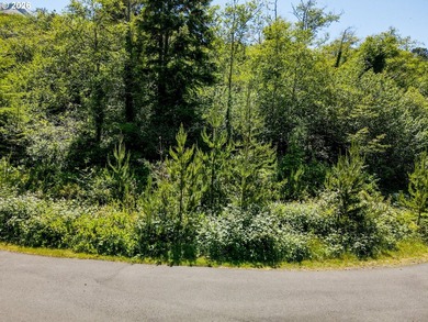 A rare chance to buy a coastal lot with the heavy lifting - photo 20