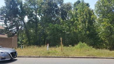 Arkansas River Lot For Sale in Maumelle Arkansas