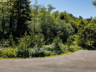 A rare chance to buy a coastal lot with the heavy lifting - photo 21