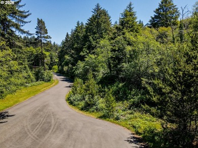 A rare chance to buy a coastal lot with the heavy lifting - photo 23