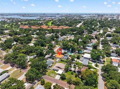 Situated 20 feet above sea level and located in a NON-FLOOD ZONE - photo 49