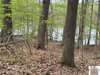 WATERFRONT LOT WITH A GENTLE SLOPE OVERLOOKING LAKE BARKLEY!! - photo 2