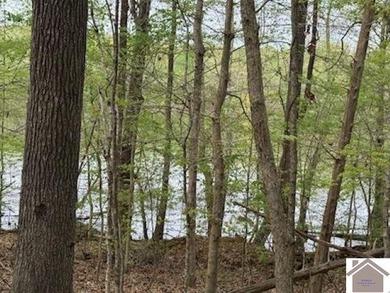 WATERFRONT LOT WITH A GENTLE SLOPE OVERLOOKING LAKE BARKLEY!! - photo 3
