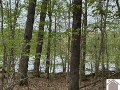 WATERFRONT LOT WITH A GENTLE SLOPE OVERLOOKING LAKE BARKLEY!! - photo 4