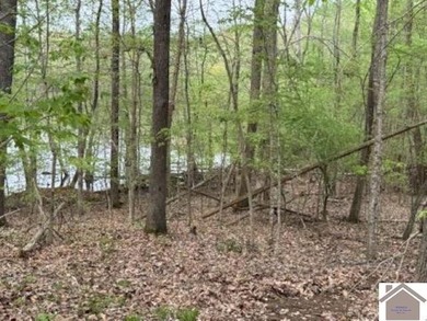 WATERFRONT LOT WITH A GENTLE SLOPE OVERLOOKING LAKE BARKLEY!! - photo 5