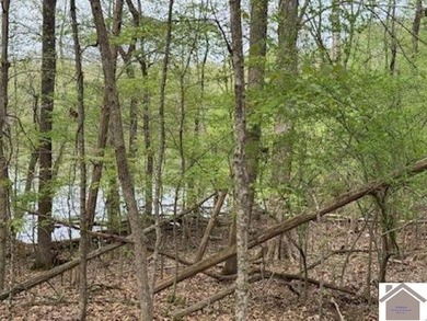 WATERFRONT LOT WITH A GENTLE SLOPE OVERLOOKING LAKE BARKLEY!! - photo 6