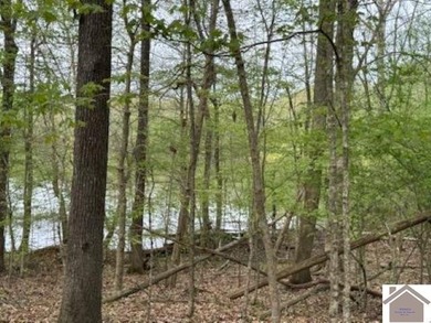 WATERFRONT LOT WITH A GENTLE SLOPE OVERLOOKING LAKE BARKLEY!! - photo 7