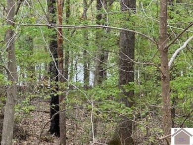 WATERFRONT LOT WITH A GENTLE SLOPE OVERLOOKING LAKE BARKLEY!! - photo 8