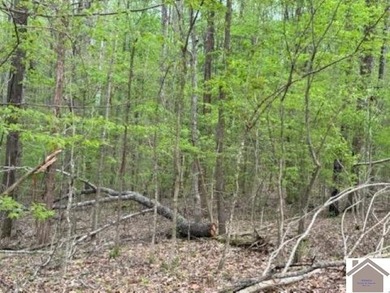 WATERFRONT LOT WITH A GENTLE SLOPE OVERLOOKING LAKE BARKLEY!! - photo 9