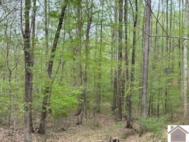 WATERFRONT LOT WITH A GENTLE SLOPE OVERLOOKING LAKE BARKLEY!! - photo 10