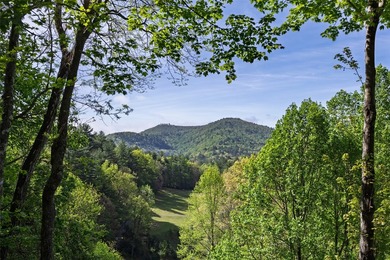 Nestled among the trees with sweeping mountain views, this - photo 13