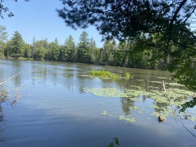 Lake Acreage For Sale in , Michigan