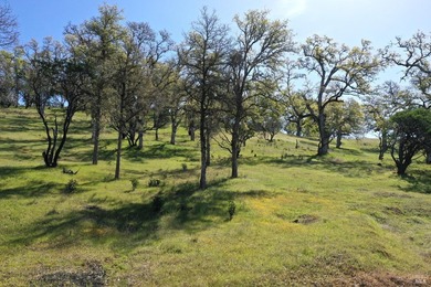 Lake County emerged as a resort destination in the late 1800s - photo 22