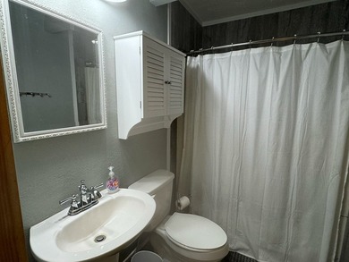 Charming farmhouse-style home in the heart of Rayburn Country - photo 26
