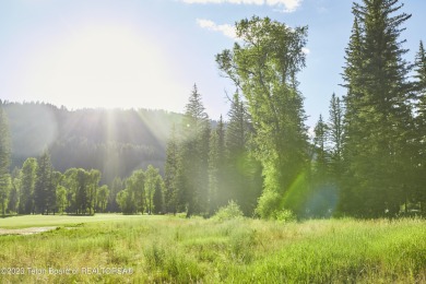 (private lake, pond, creek) Lot For Sale in Jackson Wyoming