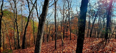 Lake Lot For Sale in Ranger, Georgia
