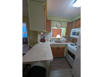 8515 US Highway 41 N lot 145 located in Winterset Mobile Home - photo 4