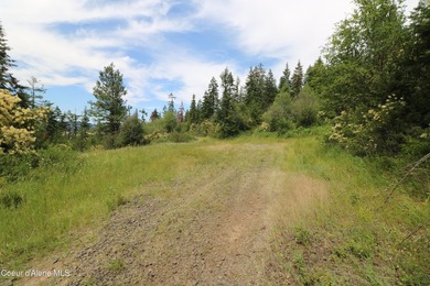 Stunning 20 Acre parcel (880' x 990') is located less than a - photo 11