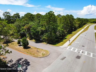 Land development opportunity in a growing area near Eastern - photo 11